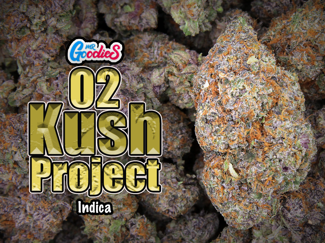 02 kush project TS