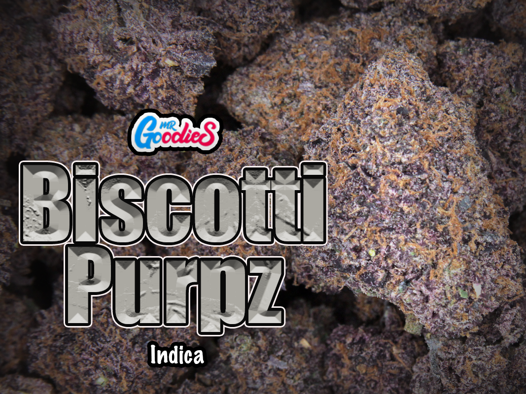 biscotti purpz EX