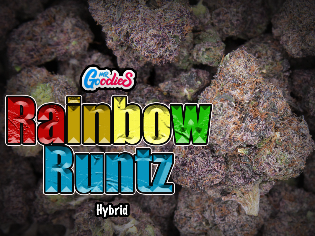 rainbow runtzz TS