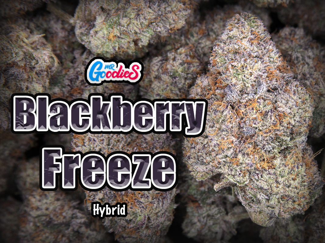 blackberry freeze TS