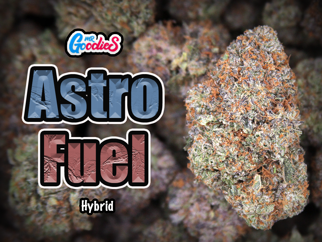astro fuel DS
