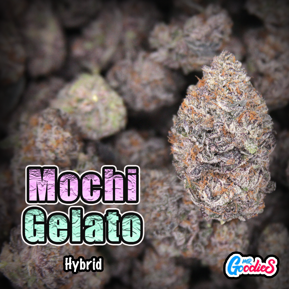 mochi gelato TS