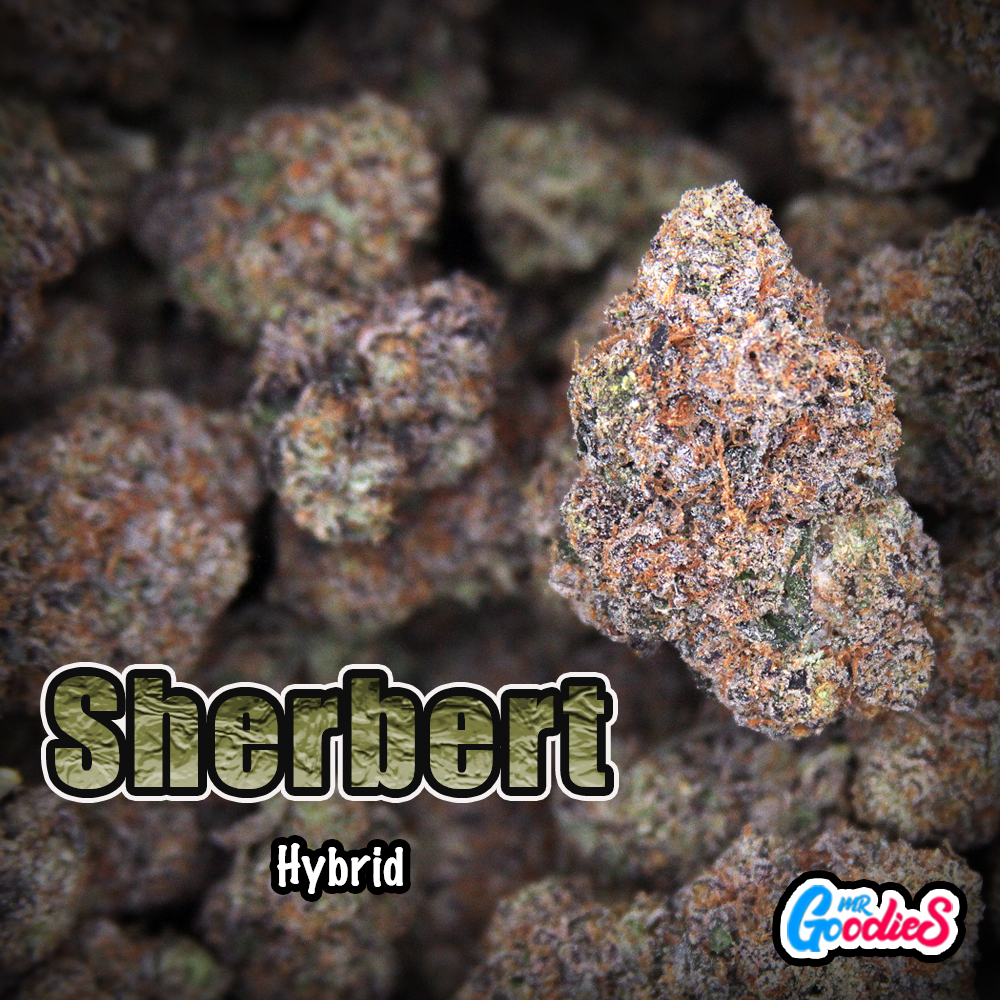 sherbert EX